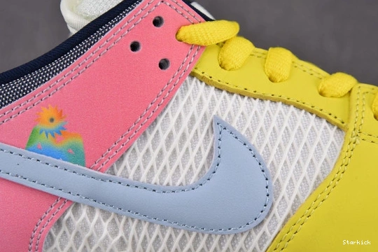 SB Schipani Xavier Be Pro Dunk Nike True DX5933-900 Low 1221